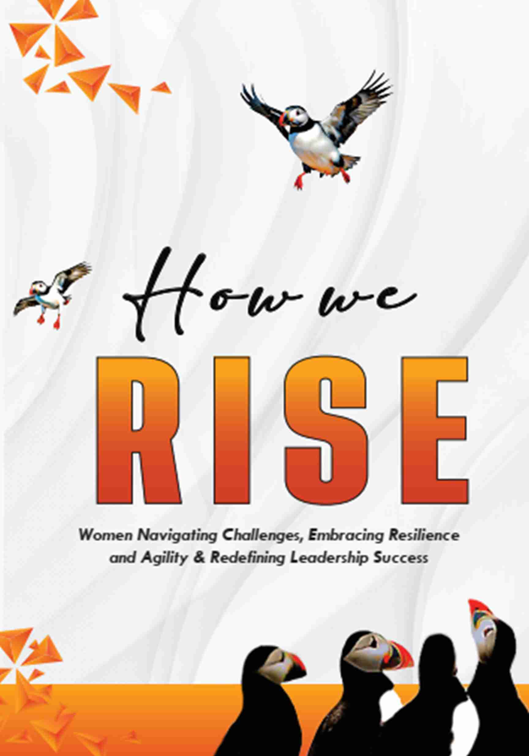 How We Rise Volume One